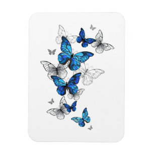Blue Flying Butterflies Morpho Magneet