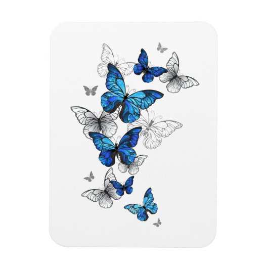 Blue Flying Butterflies Morpho Magneet (Verticaal)