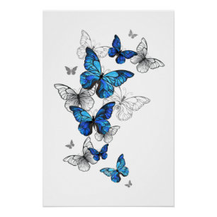 Blue Flying Butterflies Morpho Perfect Poster