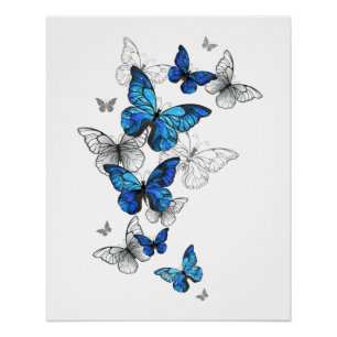 Blue Flying Butterflies Morpho Perfect Poster