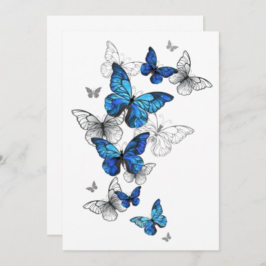 Blue Flying Butterflies Morpho Programma (Voorkant / Achterkant)