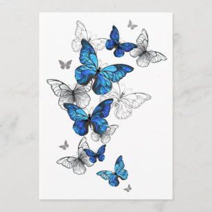 Blue Flying Butterflies Morpho Programma