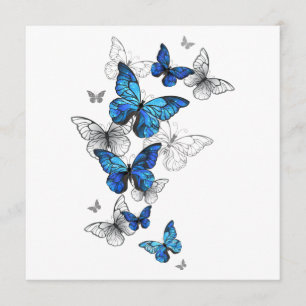 Blue Flying Butterflies Morpho Programma