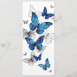 Blue Flying Butterflies Morpho Programma