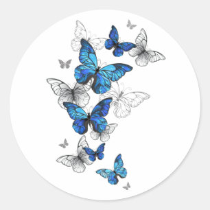 Blue Flying Butterflies Morpho Ronde Sticker