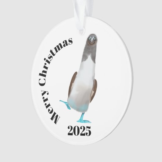 Blue-footed biddy ornament (voorkant)