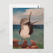 Blue Footed Booby Briefkaart (Voorkant / Achterkant)