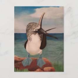 Blue Footed Booby Briefkaart
