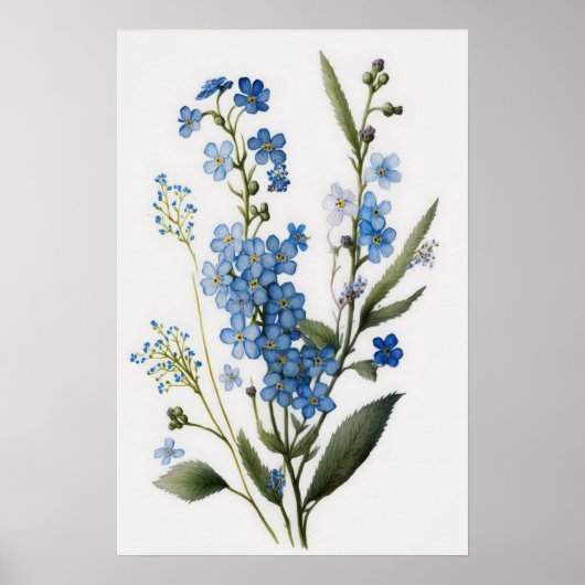 Blue Forget Me Nots Flower Art Print Poster (Voorkant)