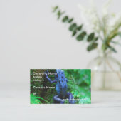 blue-frog-1.jpg visitekaartje (Staand voorkant)