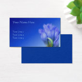Blue Gentian Flower Nature (Bureau)