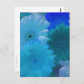 Blue Gerbera Daisy Flower Photo Art Briefkaart (Voorkant / Achterkant)