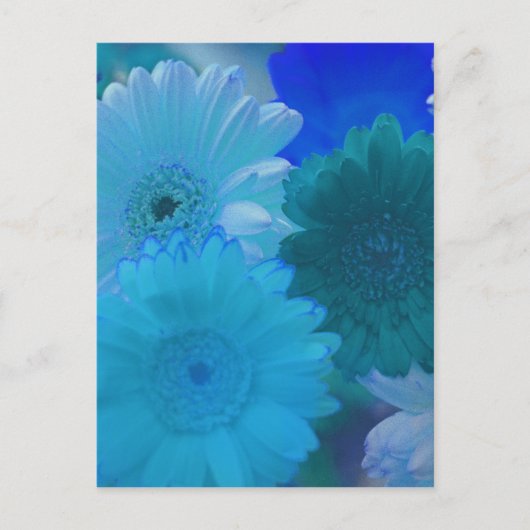 Blue Gerbera Daisy Flower Photo Art Briefkaart (Voorkant)