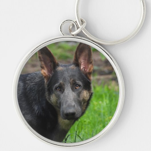 Blue German Shepherd Dog Sleutelhanger (Voorkant)