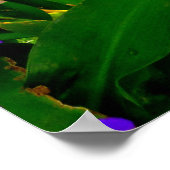 Blue Ginger en Bougainvillea Poster (Hoek)