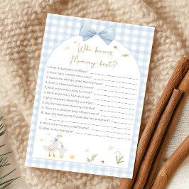 Blue Gingham Silly Goose Shower Who Knows Game