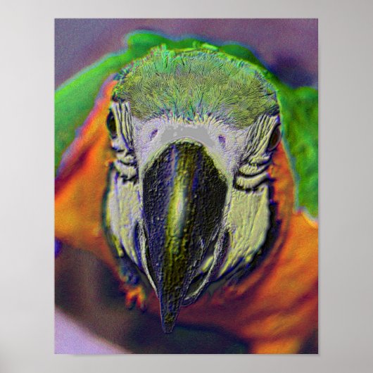 Blue Gold Macaw Face Parrot Fantasy Art Poster (Voorkant)