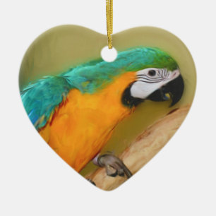 Blue Gold Macaw Parrot Bird Ornament