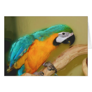 Blue Gold Macaw Parrot Painting Animal Card