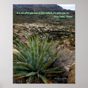 Blue Green Agave Plant in het woestijngebergte Ari Poster