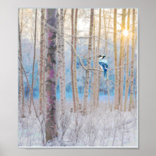Blue Grey Blue Jay Bird Forest Trees Art Poster