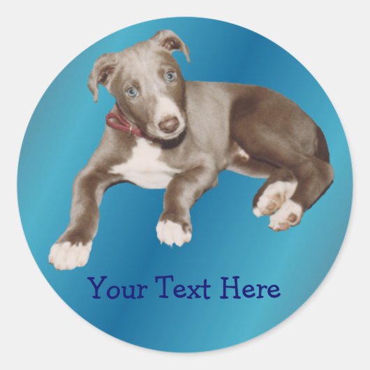 Blue Greyhound Puppy Animal Sticker (Voorkant)