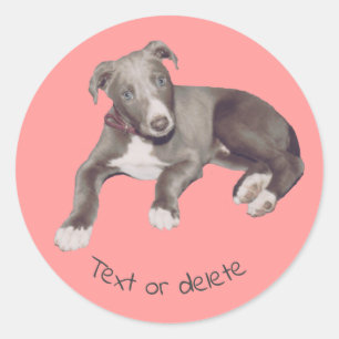 Blue Greyhound Puppy op maat Ronde Sticker