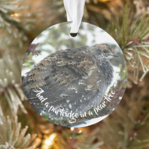 Blue Grouse in Snow Holiday Ornament