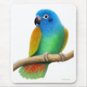 Blue Headed Pionus Parrot Mousepad Muismat (Voorkant)