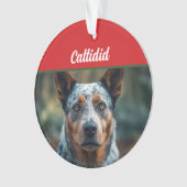 Blue Heeler Chien de Noël (devant)