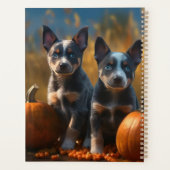 Blue Heeler Chiot Automne Citrouille de plaisir (Dos)