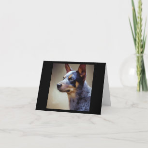 Blue Heeler Dog Kaart