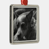 Blue Heeler Metalen Ornament (Rechts)