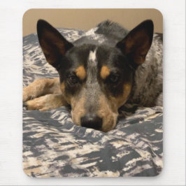 Blue Heeler Muismat