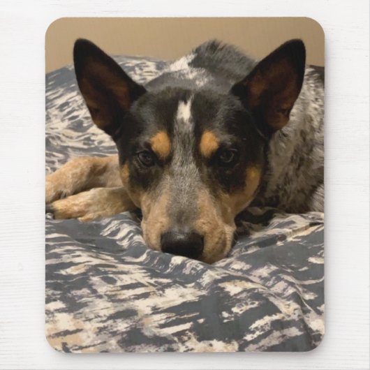 Blue Heeler Muismat (Voorkant)