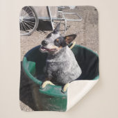 Blue Heeler Sherpa Deken (Voorkant)
