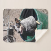 Blue Heeler Sherpa Deken (Voorkant (horizontaal))