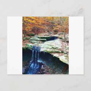 Blue Hen Herfsten Cuyahoga Nationaal Park Ohio Briefkaart