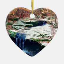 Blue Hen Herfsten Cuyahoga Nationaal Park Ohio