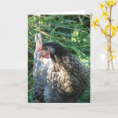 Blue Hen Kaart (Gele Bloem)