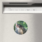 Blue Hen Magneet (Insitu (Vaatwasser))