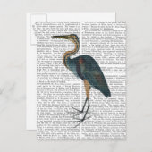 Blue Heron 3 Briefkaart (Voorkant / Achterkant)