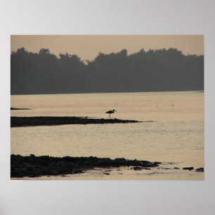 Blue Heron aan de Mississippi op de Sunset Poster