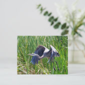 Blue Heron aan de slag Briefkaart (Staand voorkant)