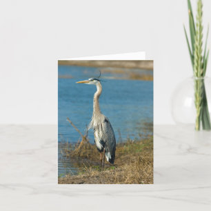 Blue Heron bij Pond Kaart