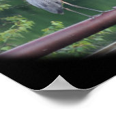 Blue Heron Bird Poster (Hoek)