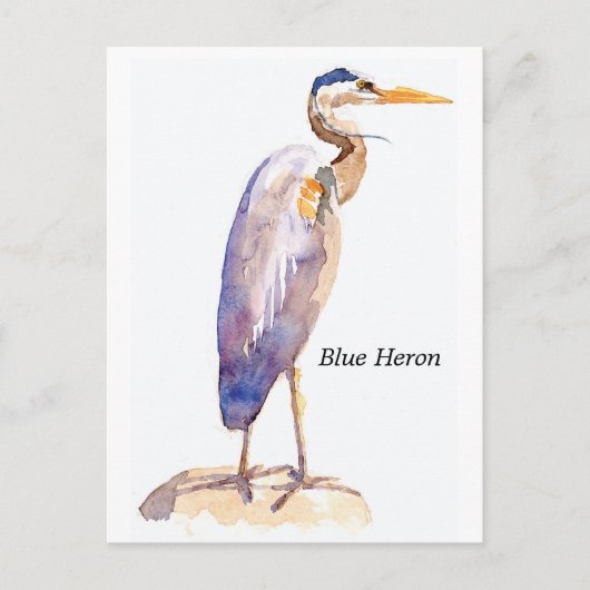 Blue Heron briefkaart (Voorkant)