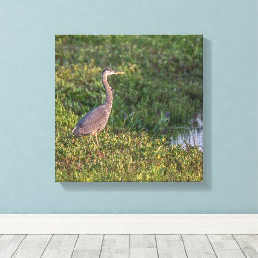 Blue Heron Canvas Afdruk (Insitu (Houten vloer))