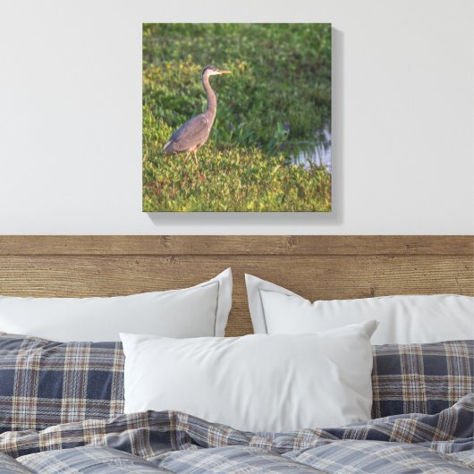 Blue Heron Canvas Afdruk (Insitu (Slaapkamer))