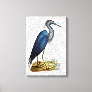 Blue Heron Canvas Afdruk